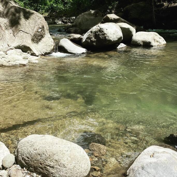 Spacieux Appartement A La Villa Montagne Le Carbet Luaran gambar