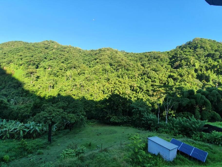 Spacieux Appartement A La Villa Montagne Le Carbet Luaran gambar